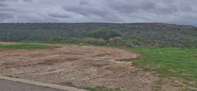 0 Bedroom Property for Sale in Kwanonqaba Western Cape